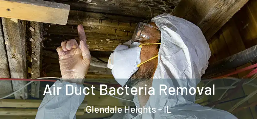  Air Duct Bacteria Removal Glendale Heights - IL