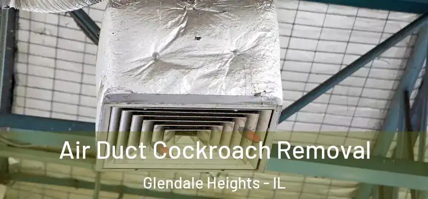  Air Duct Cockroach Removal Glendale Heights - IL