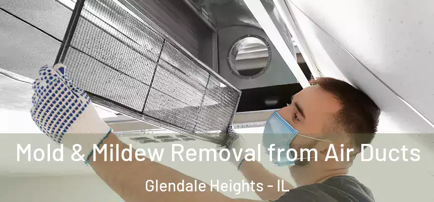  Mold & Mildew Removal from Air Ducts Glendale Heights - IL