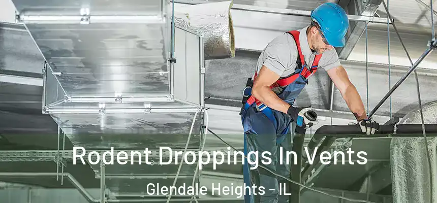  Rodent Droppings In Vents Glendale Heights - IL