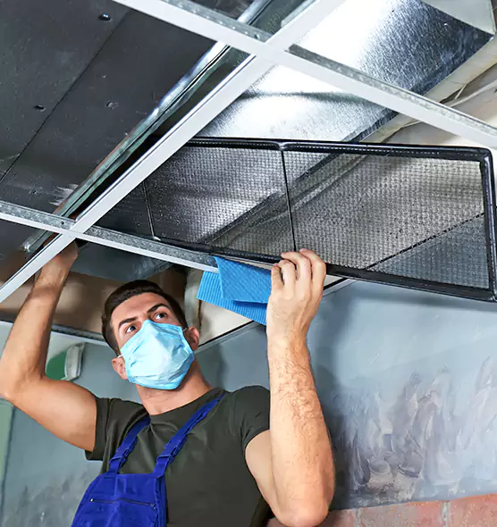 Professional Air Duct Pollen Cleaning in Glendale Heights, IL