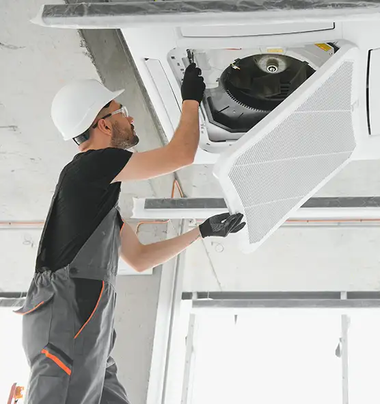 About Air Duct Rodent Removal in Glendale Heights, IL