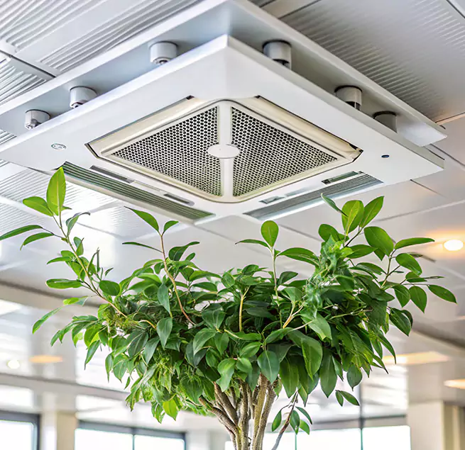 Why Homeowners & Businesses Trust Us in Glendale Heights, IL