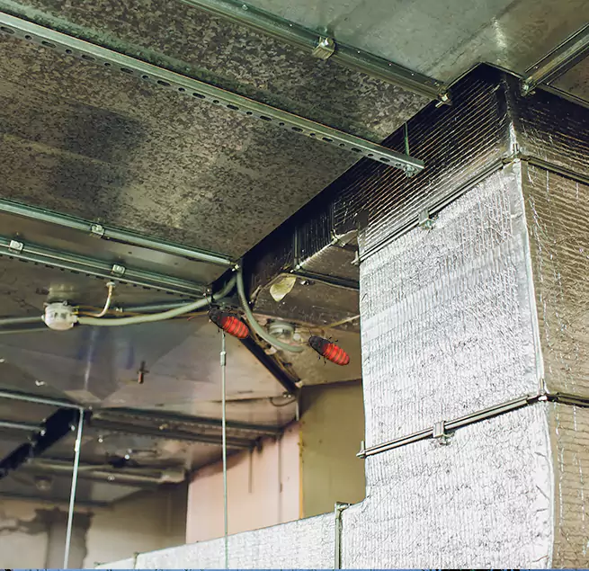 Why Homeowners & Businesses Trust Us Glendale Heights, IL?